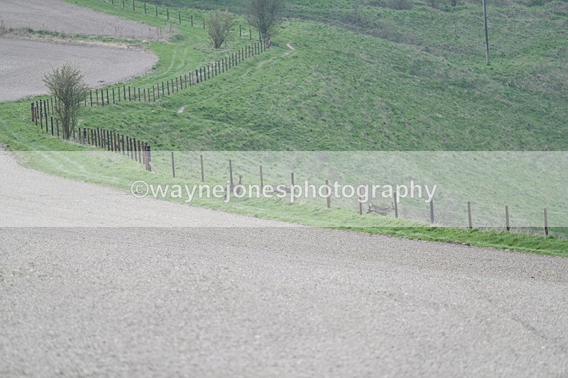 WJ7_7983 - Line 2 A camera