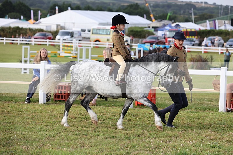 JPP_0305 - Class 14: Cornish Combination Leading Rein