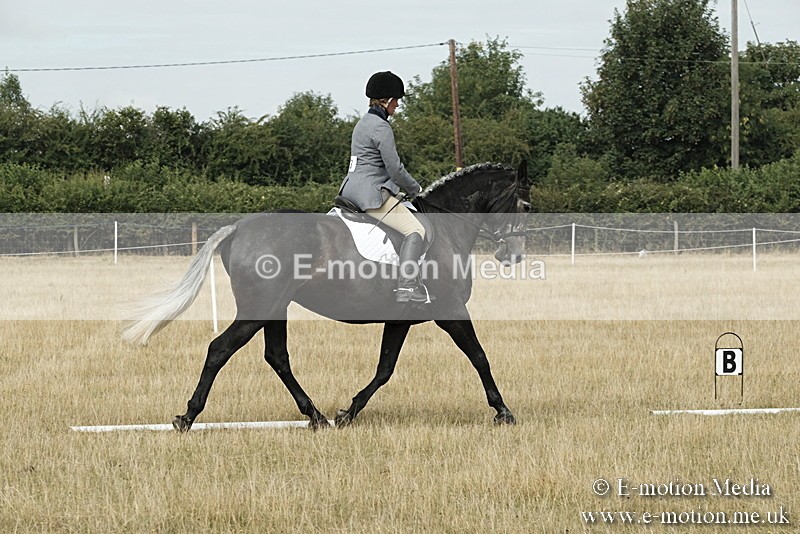 _PJP5621 - Dressage Classes BVRC Show 2018