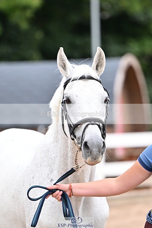 250716-140127-00862 - Trot Up 1.30 to 2.30