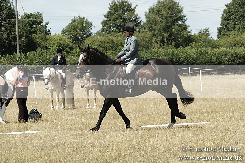 _PJP5824 - Dressage Classes BVRC Show 2018