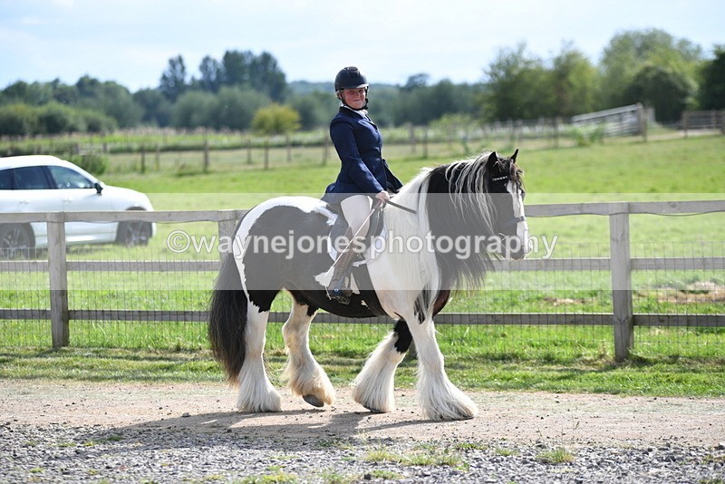 WJ5_7931 - Time 16:56 to 17:14