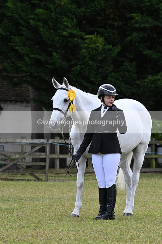 WJ7_7206 - Class 5a Most Handsome Gelding in Hand