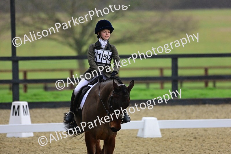 20260125-0627 - Class 9b - Walk Trot Unassisted