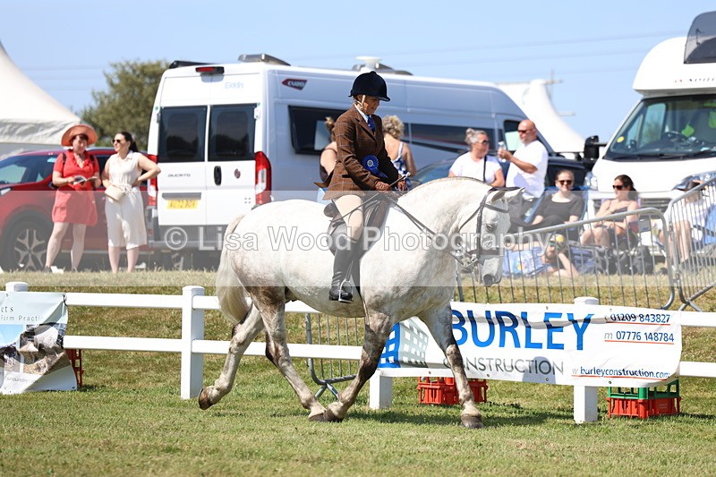 3E7A7496 - Rising Star Ridden Championship