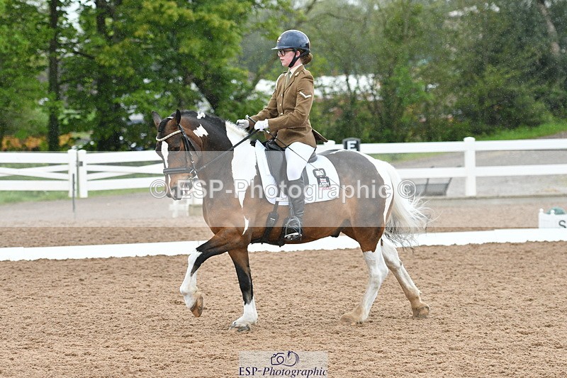 230511A-133204-00781 - BD Cls 10 Medium 61