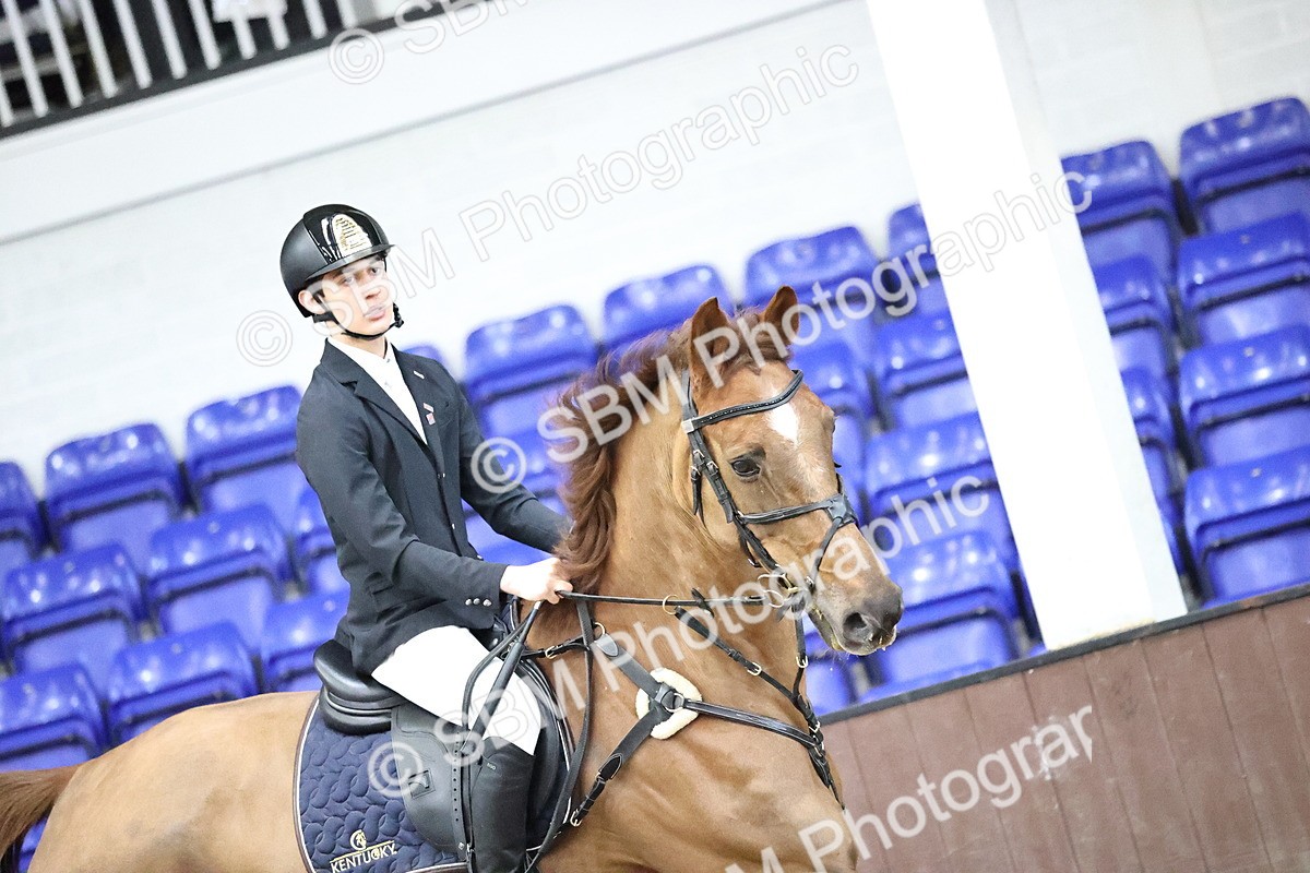 SBM_006083 - Class 16 - Senior Newcomers - 1.10m Open