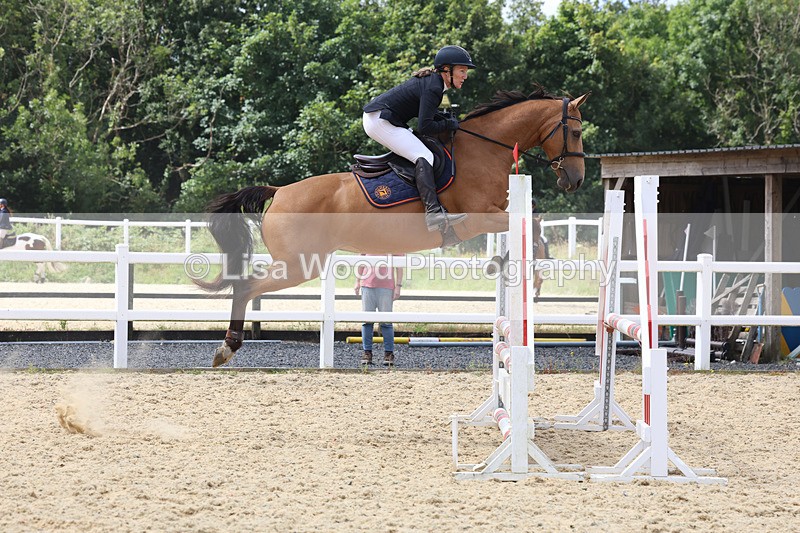 3E7A4850 - Class 4: Senior British Novice/90cm open