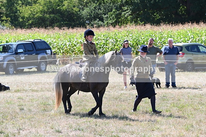 WJ6_7959 - Class 36 Lead Rein