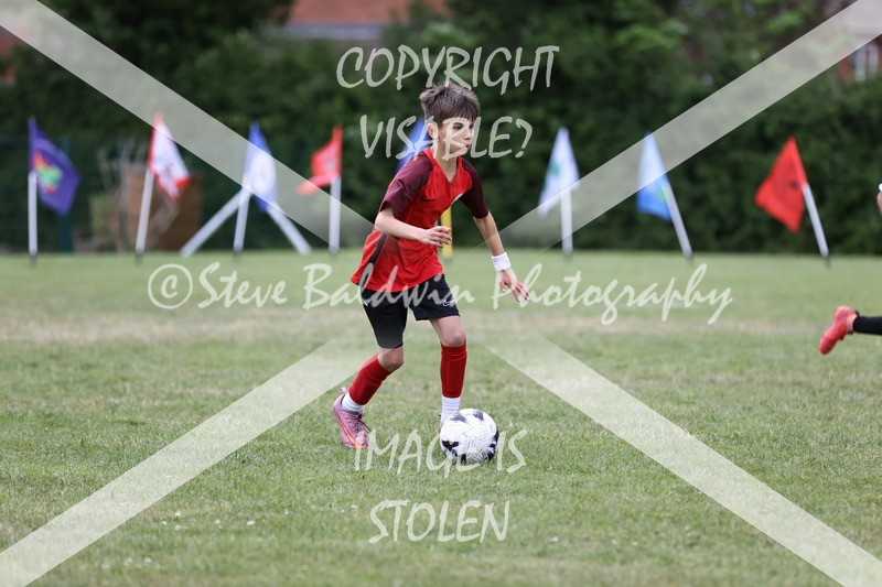 1DX31132 - Brook Field V Goddard Park