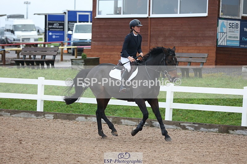 231112A-093515-02975 - Cls 17 Blue Chip Novice Winter Qualifier