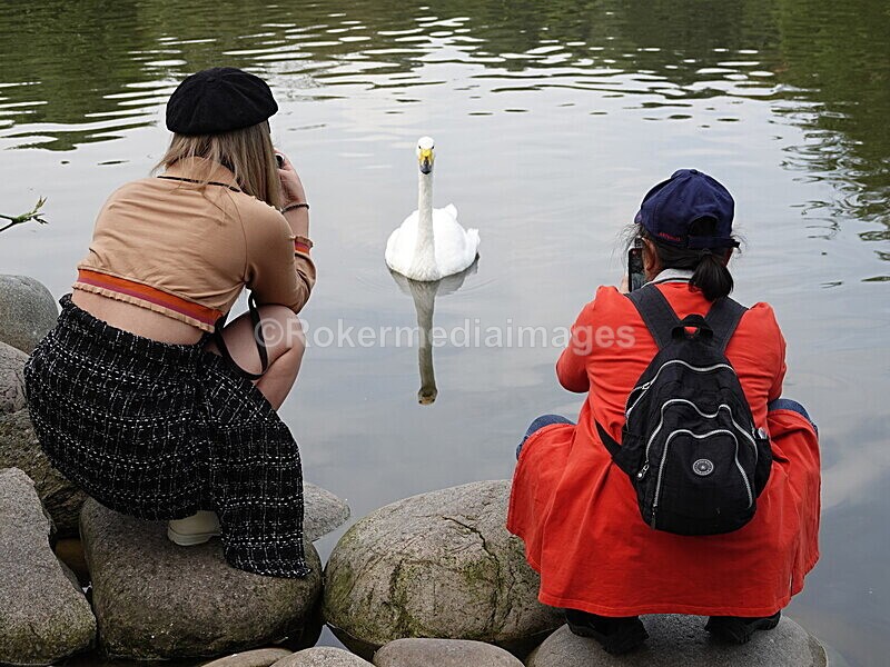 CHINA__0121 - China 2019