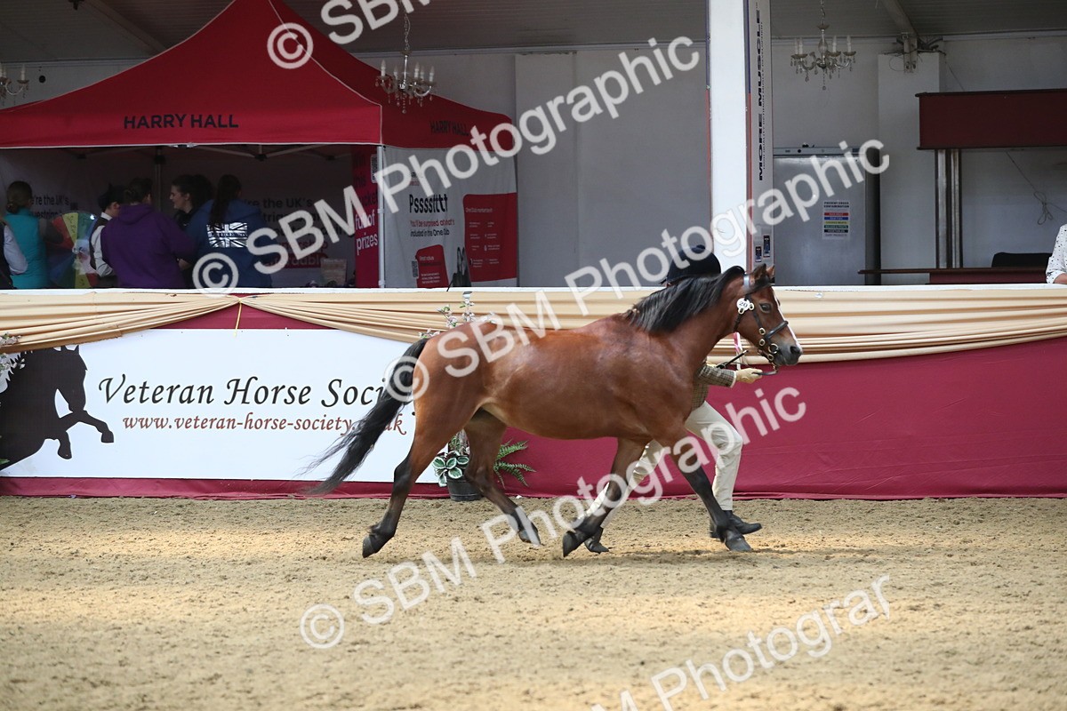 SBM_15306 - Class 501 M&M IH Supreme Final