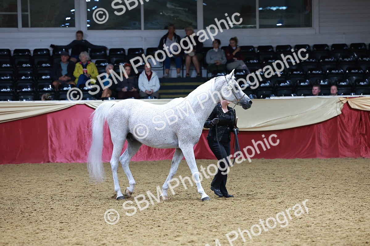 SBM_20107 - Class C - Novalty Champ