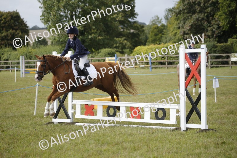 20250831-0741 - Class 2 - 60cm