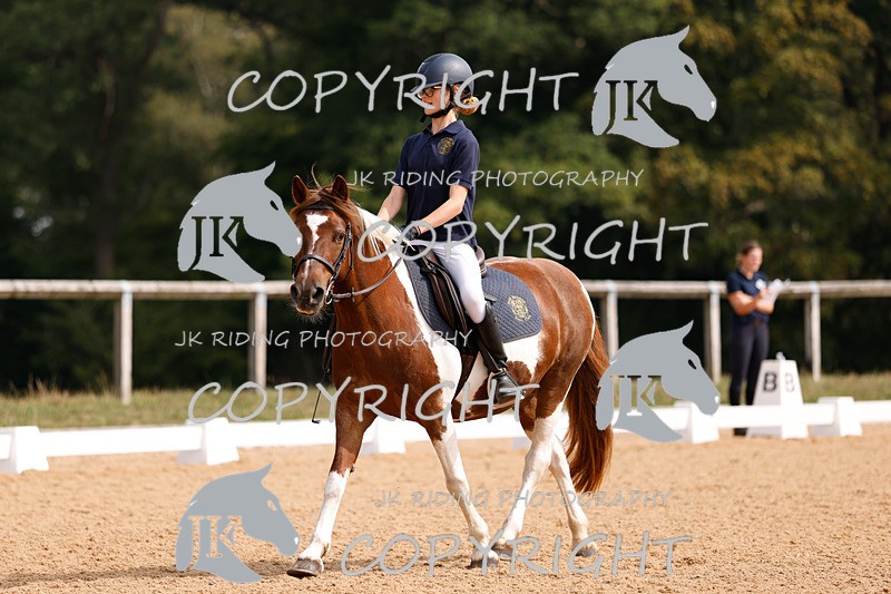 _R6A2304 - Dressage Morning