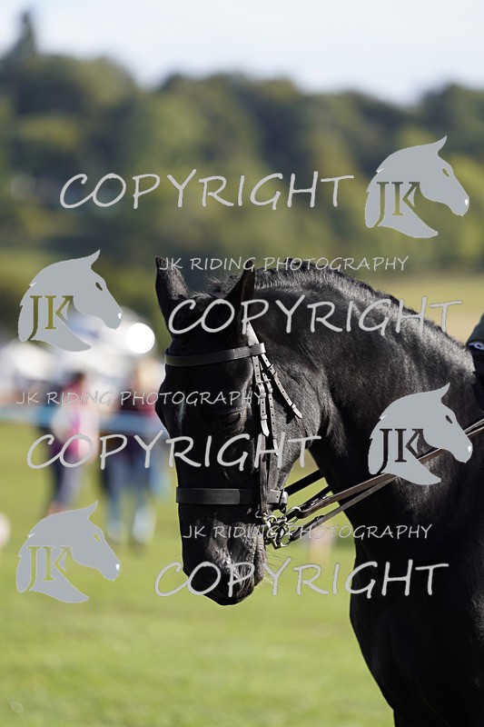 _DSC9440 - Class 8 & 17 Ridden Hunter & Ridden Hunter Pony