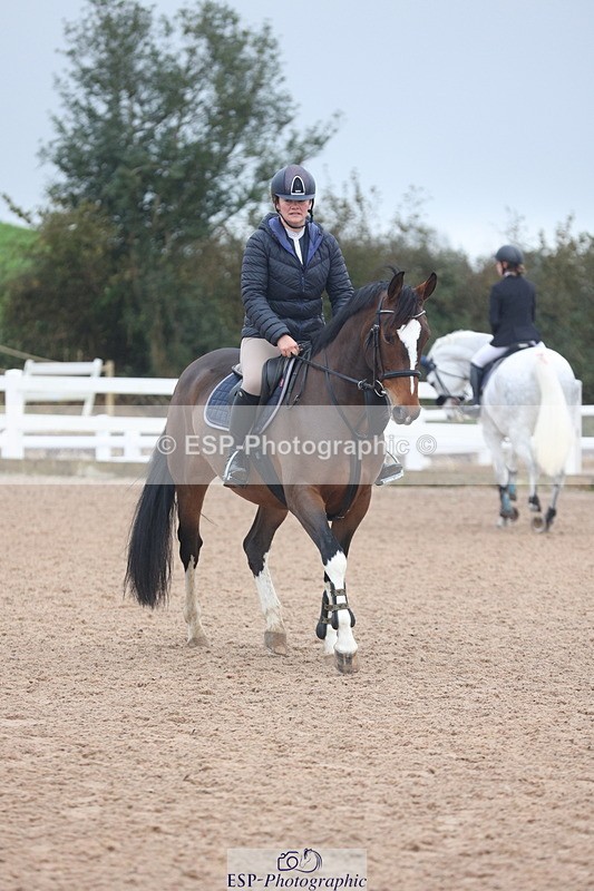 231112A-100549-03191 - Cls 17 Blue Chip Novice Winter Qualifier