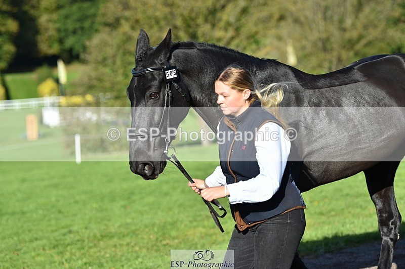 231022-103828-22637 - 505-MR.DARCY-Eleanor.Newcombe-TrotUp+SJ