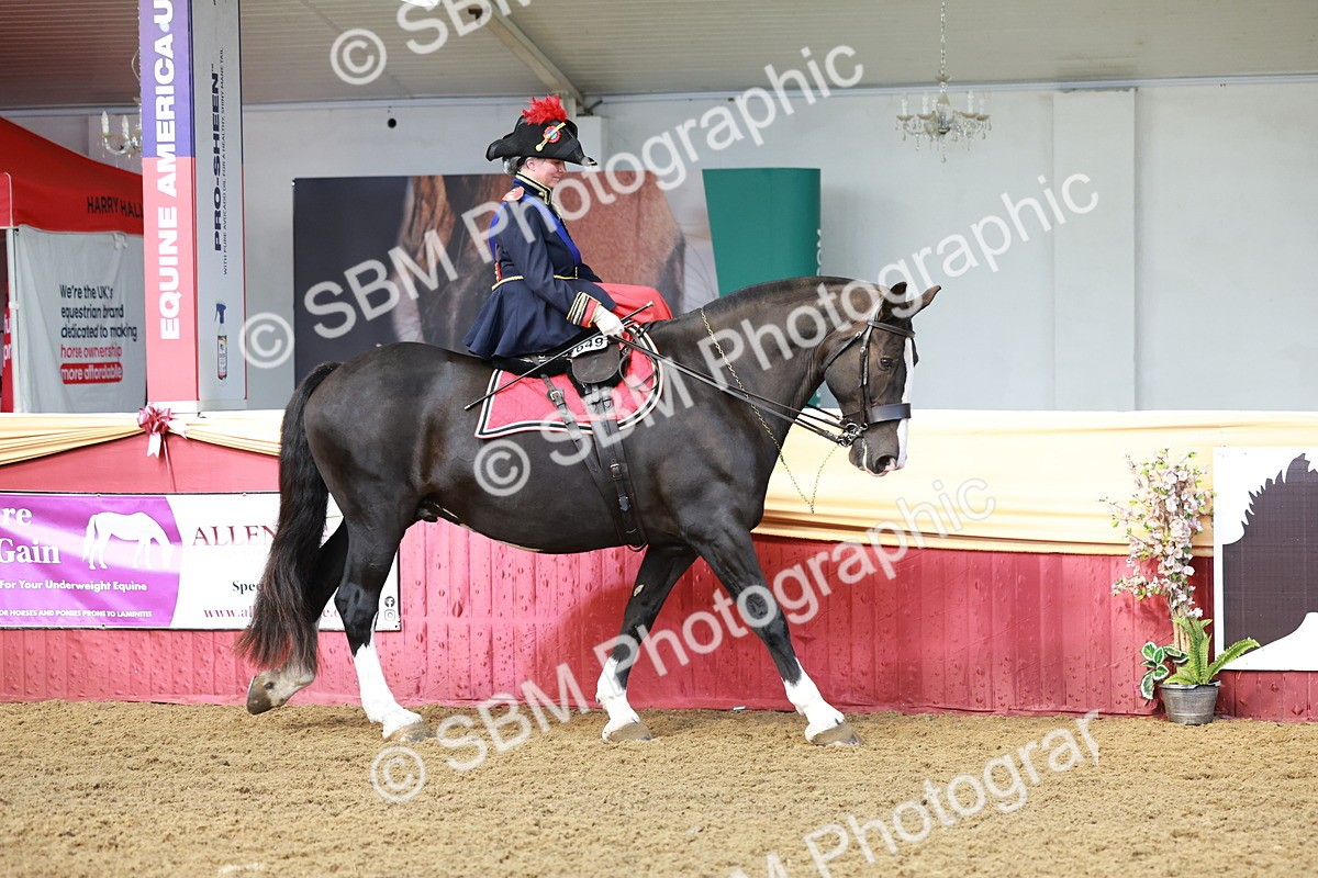SBM_13534 - Class 105 - Ridden Costume - Side Saddle