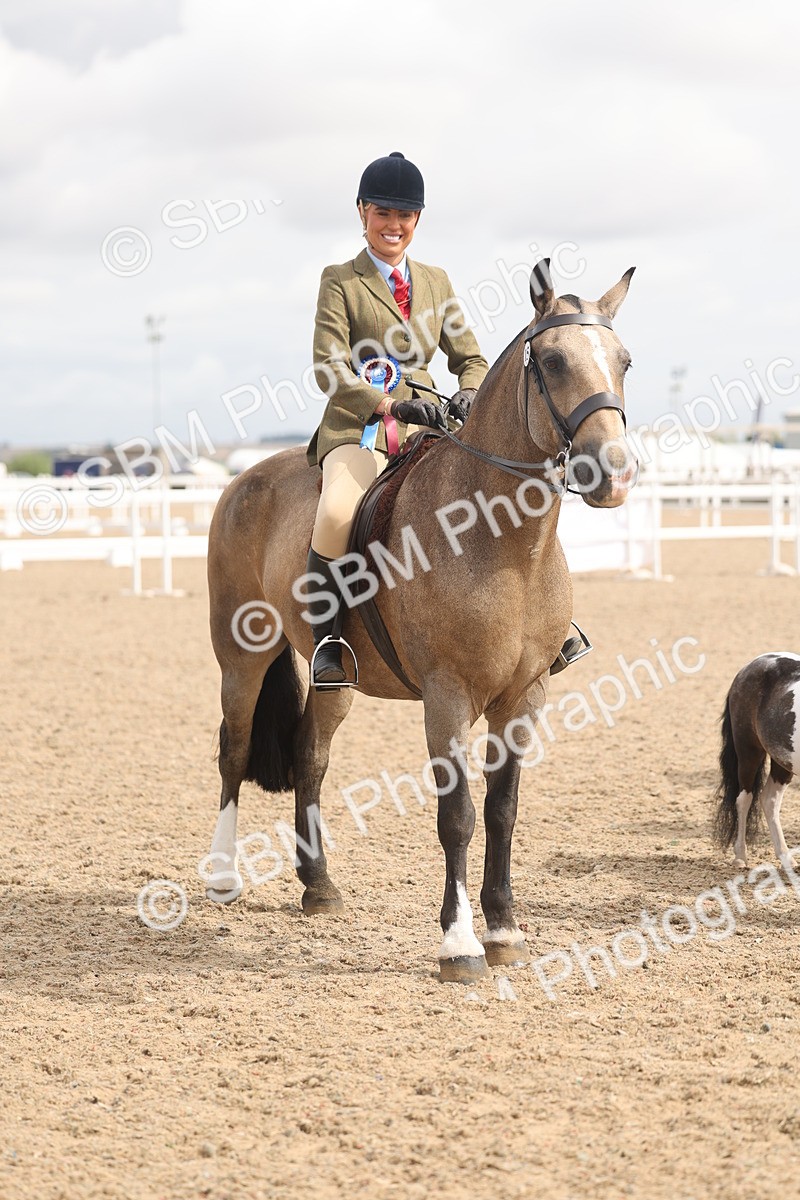SBM_04575 - Class 19 - Horse/Pony Judge would most like to take home