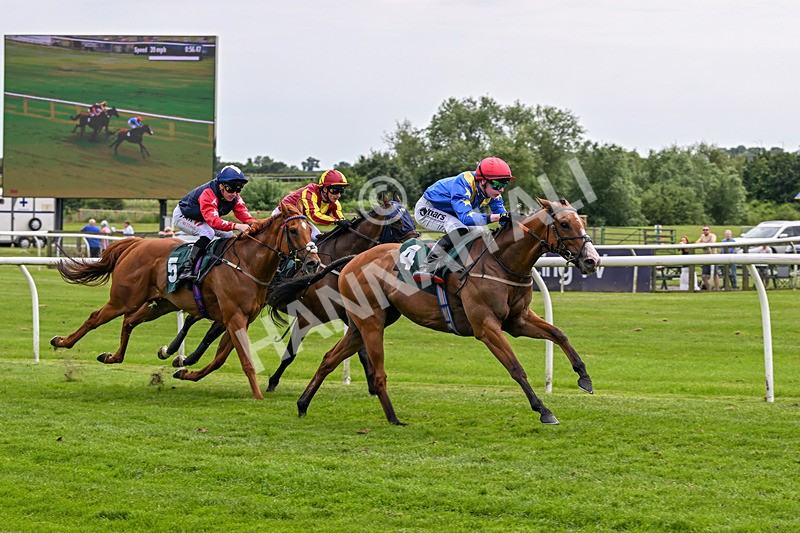 220626-Race 2-Tees Aggregates-8692 - Race 2 15.00pm Jimmy Loxam Is 80 Today