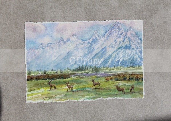 Spring Migrations - Watercolor