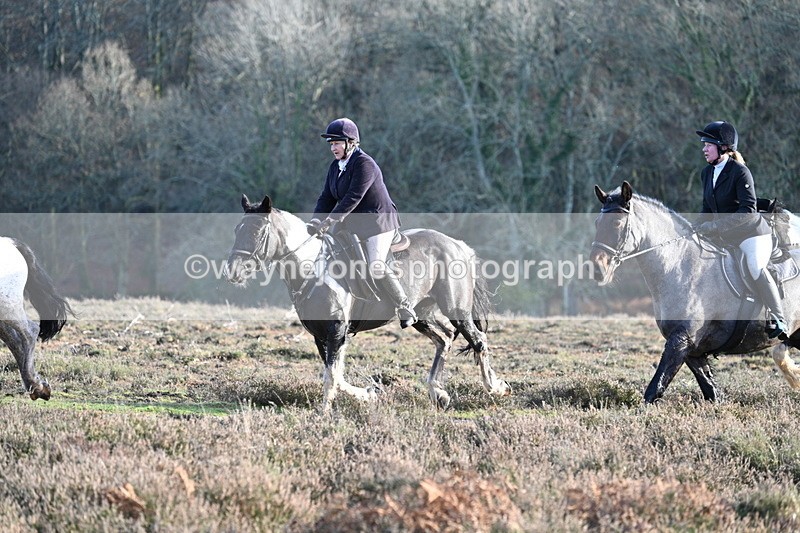 WJ7_7970 - Line 3 (no line 4 or 5)