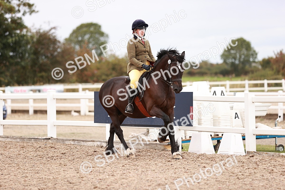 SBM_18964 - Class 422 - Ridden M&M