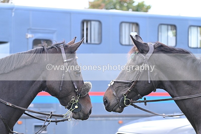 WJ7_5251 - Meet