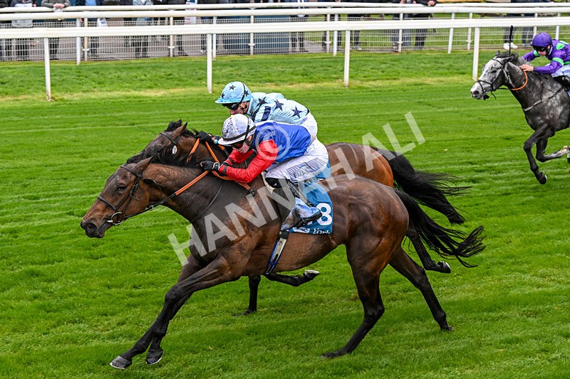 140526-Race 3-Maybe Not-0166 - Race 3 2.55pm Oakmere Homes Hambleton Handicap