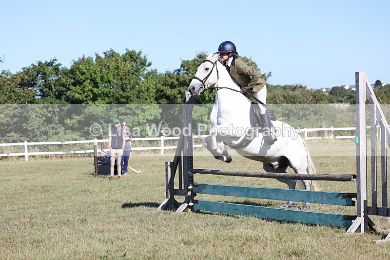 3E7A5412 - Class 3: Working Hunter 70cm