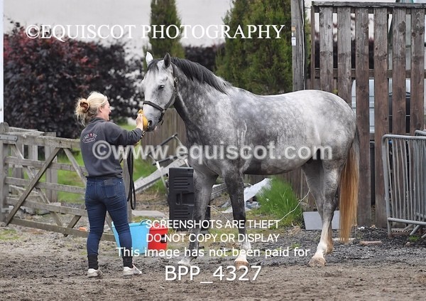 BPP_4327 - Senior Newcomers/ 1.10m Open