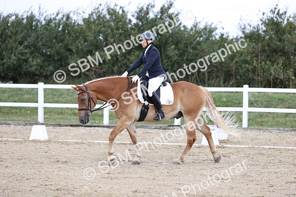 SBM_016769 - Class 14 Novice 23 - 11.53-12.56