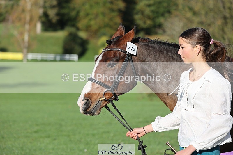 241027-091933-15213 - 375-Erin.Brown-50.SHADES.OF.BAY