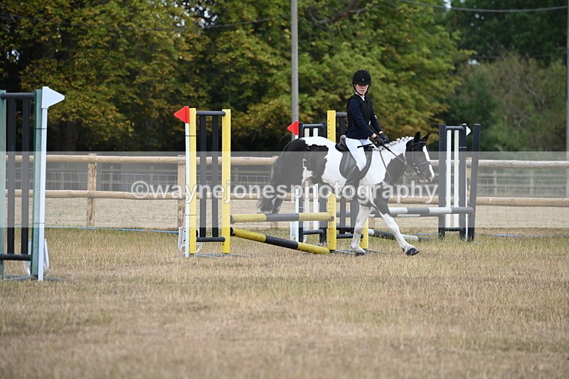 WJ6_0128 - Class 13 Novice Jumping 60cm