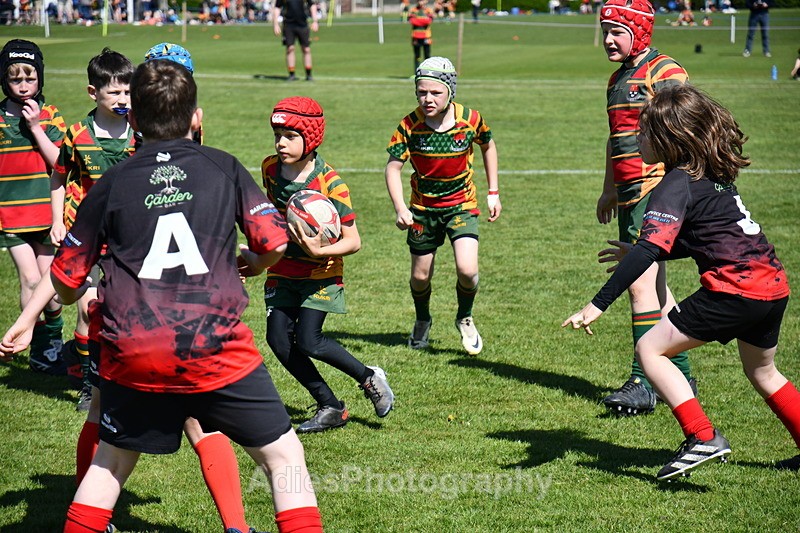 - Selby Rugby Festival 2025