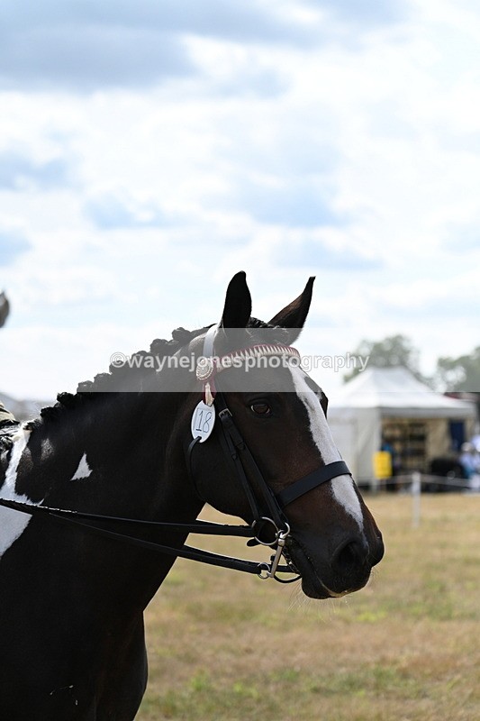 WJ7_6168 - Class 13 Ridden Veterans