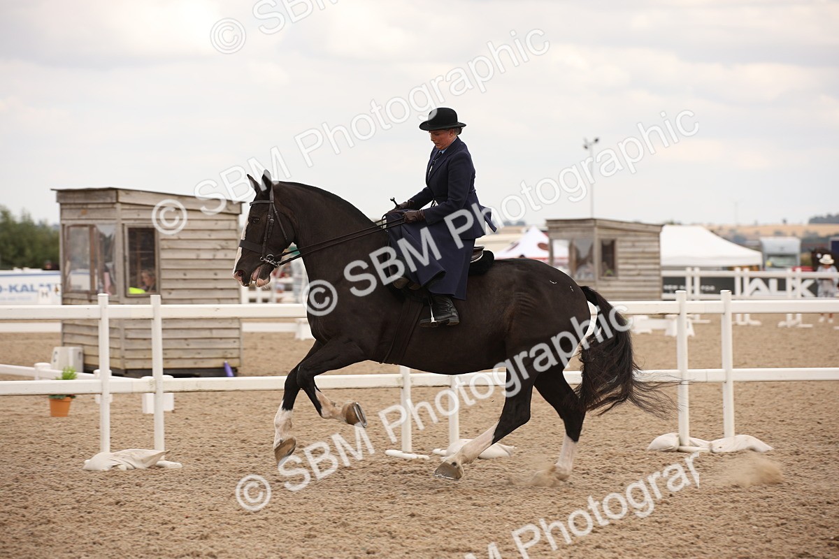 SBM_05357 - Class 22 SSA Equitation