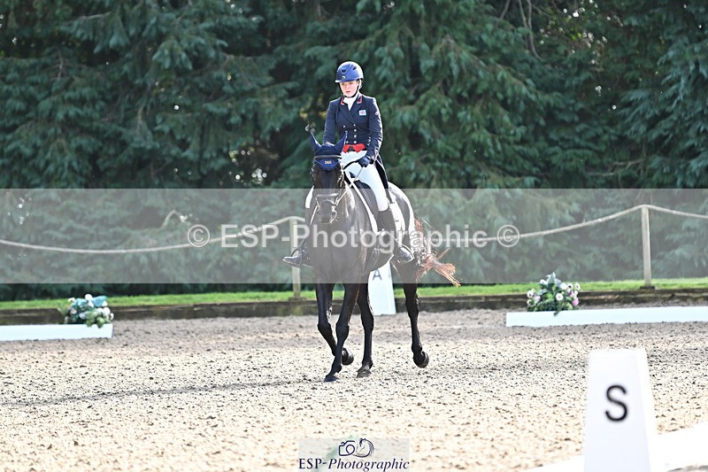 241023-143648-00557 - 002-Ellie.Fredericks-BRITANNIA'S.OLIVE