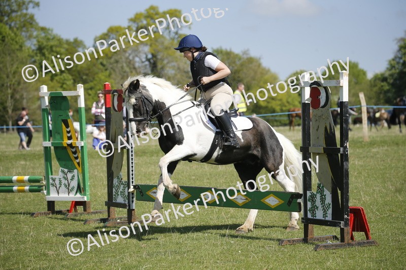 20250427-2233 - Class 13 - Novice Jumping 60cm