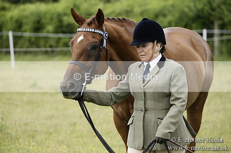 BVR160717-215 - Ring 2 BVRC Show 16/07/17