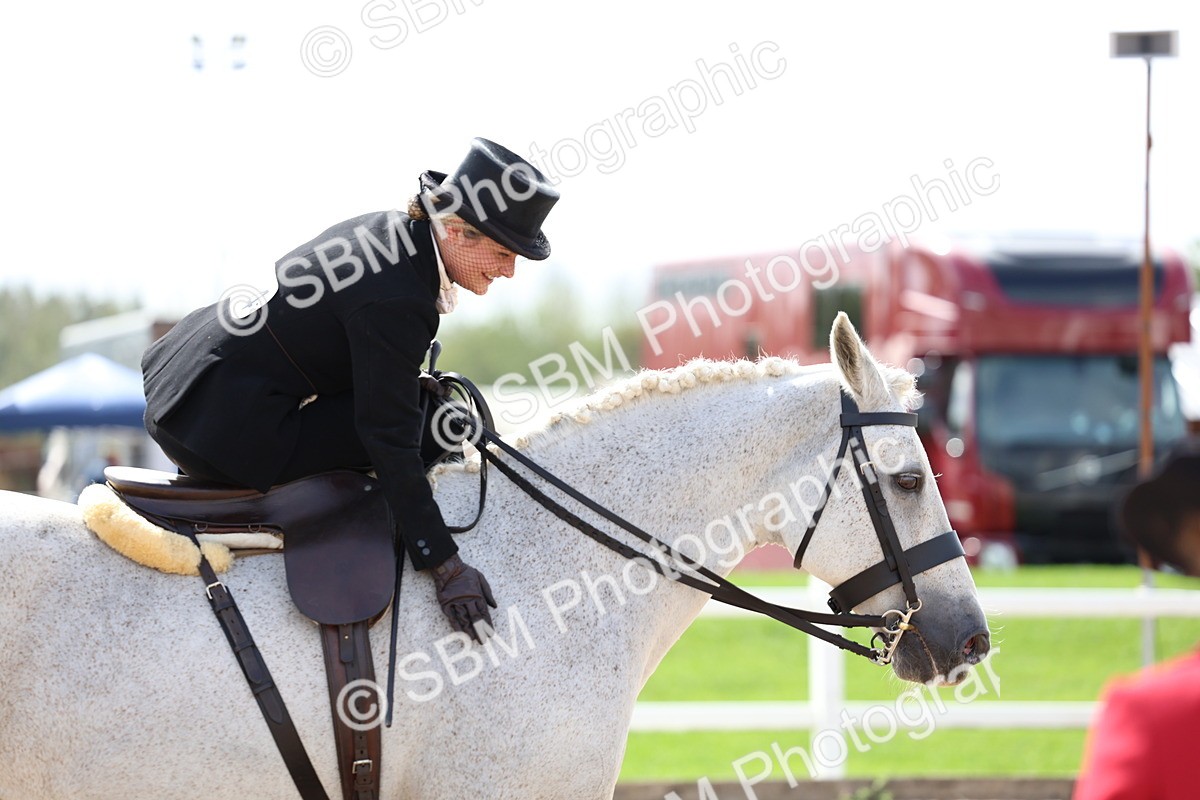 SBM_03259 - Class 22 - SSA Equitation (any age)
