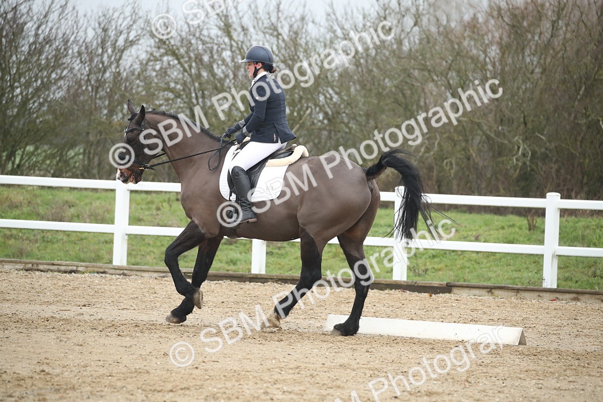 SBM_004530 - Novice 3