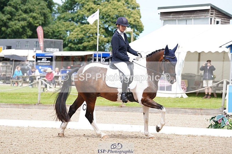 240721-113356-07839 - 124-Sophie_Savage-Two_Tone_Ted