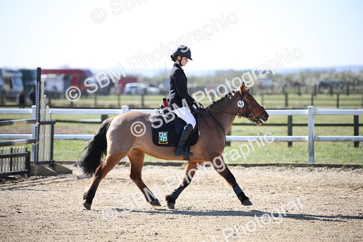 SBM_000790 - Class 2 - 50cm