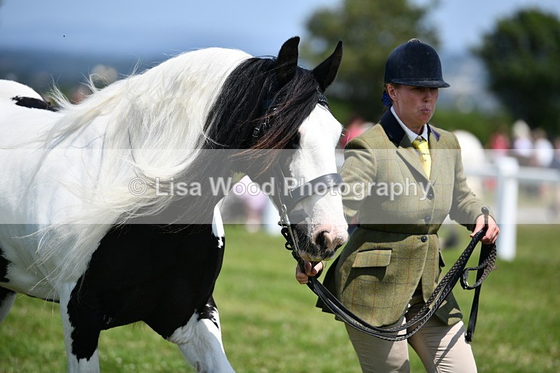 DSC_7757 - Class 64: Coloured Pony 4yrs & over