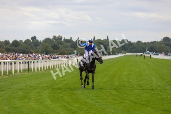230823-Race 4-Mostahdaf-4318 - Race 4 3.35pm Juddmonte International Stakes