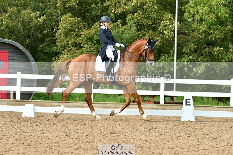 230912A-162930-01787 - Cls 18 FEI PSG