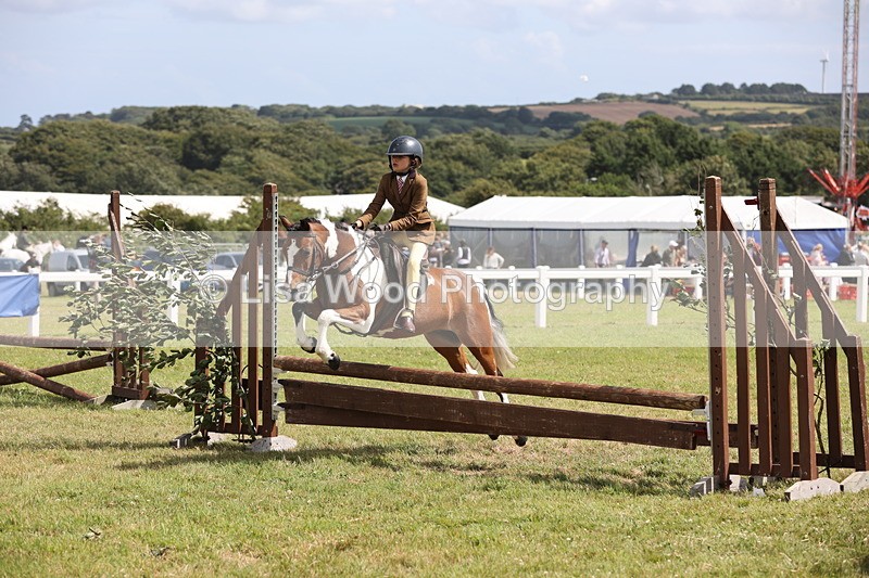 JPP_2161 - Class 19: Working Hunter 60cm